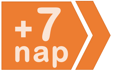 +7 nap